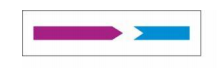 Biological Indicator | Bowie Dick Test Pack |  Sterilization Process Challenge Device | LISTER BIOMEDICAL CO.,LTD 