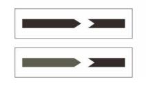 Biological Indicator | Bowie Dick Test Pack |  Sterilization Process Challenge Device | LISTER BIOMEDICAL CO.,LTD 