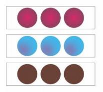 Biological Indicator | Bowie Dick Test Pack |  Sterilization Process Challenge Device | LISTER BIOMEDICAL CO.,LTD 