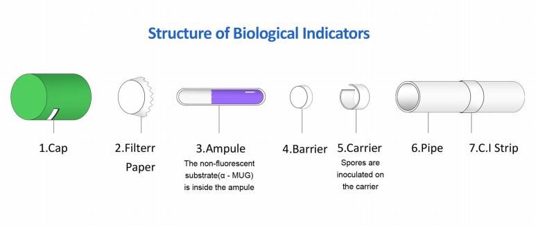 Biological Indicator | Bowie Dick Test Pack |  Sterilization Process Challenge Device | LISTER BIOMEDICAL CO.,LTD 