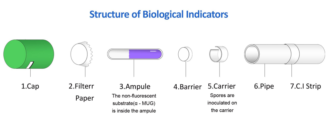 Biological Indicator | Bowie Dick Test Pack | Sterilization Process Challenge Device | LISTER BIOMEDICAL CO.,LTD 